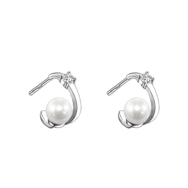 Forest Sweet S925 Silver Small Diamond Earlobe Earrings - Image 2