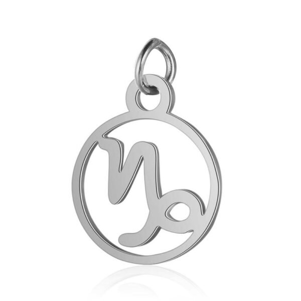 Twelve zodiac pendants - Image 10